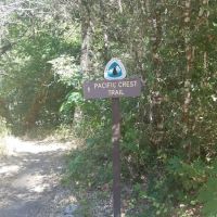 Grider Creek Campground ico
