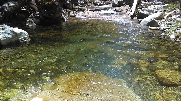 Grider Creek Campground Picture 2