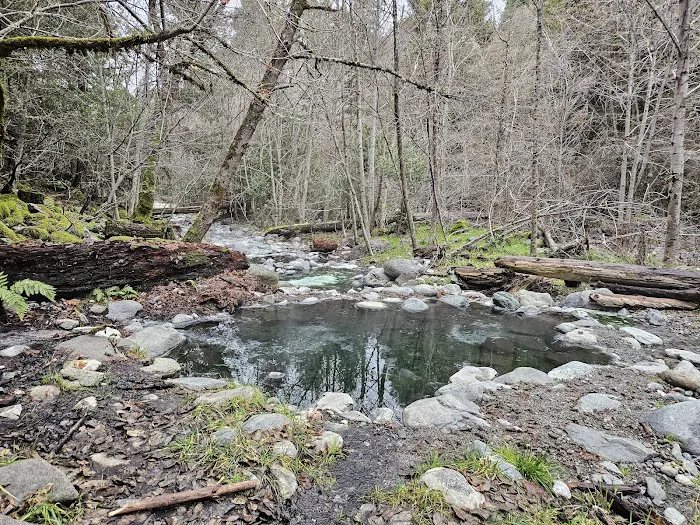 Sulphur Springs Campground Picture 3