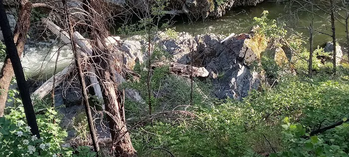 Sulphur Springs Campground Picture 9