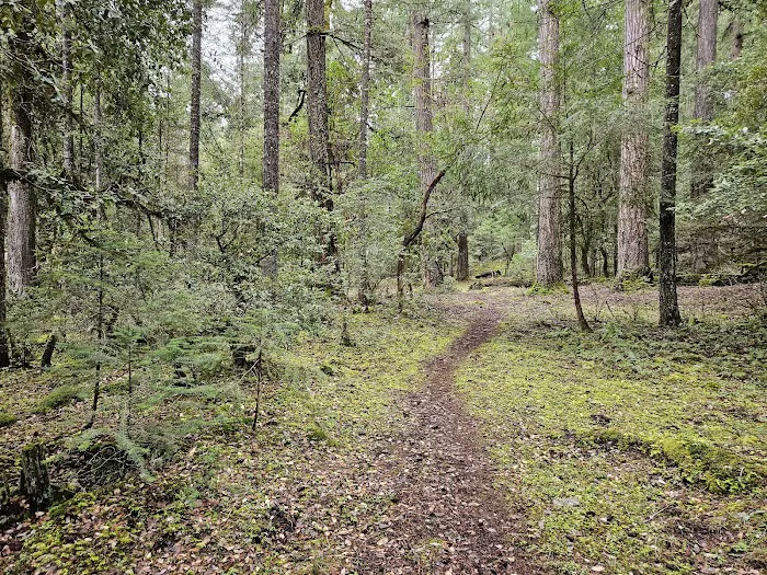 Sulphur Springs Campground Picture 2