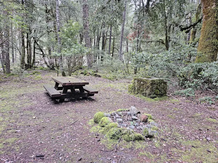 Sulphur Springs Campground Picture 10