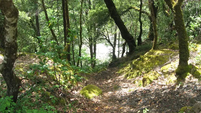 Dillon Creek Campground Picture 3