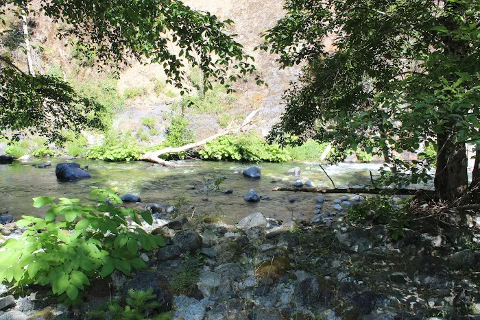 Dillon Creek Campground Picture 5