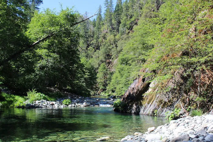 Dillon Creek Campground Picture 8