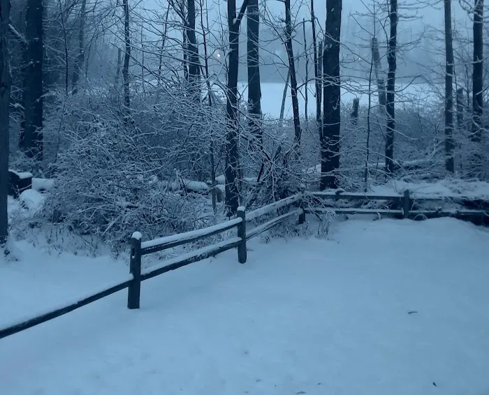 Century Park Mobile Home Park Picture 6