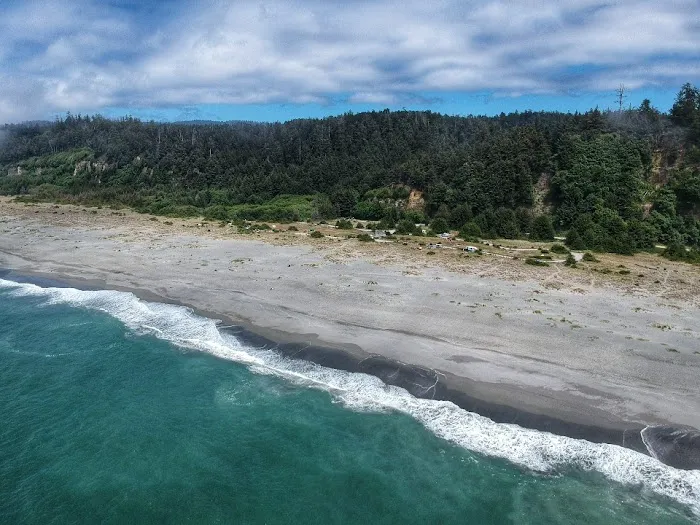 Gold Bluffs Beach Campground Picture 3