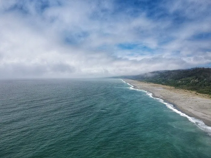 Gold Bluffs Beach Campground Picture 4