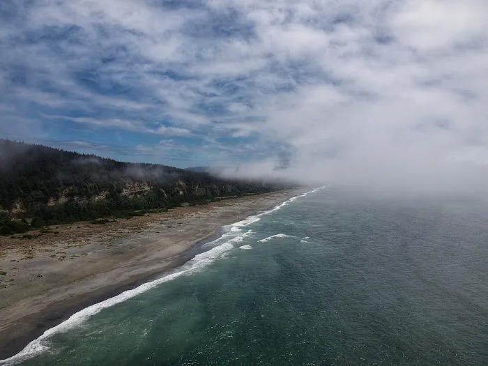 Gold Bluffs Beach Campground Picture 5