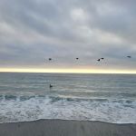 Gold Bluffs Beach Campground