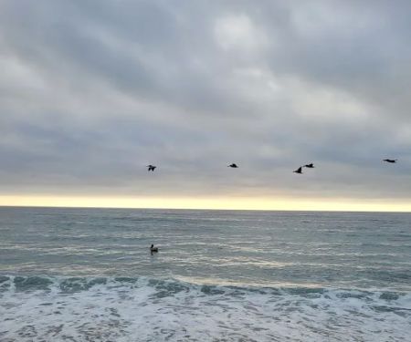 Gold Bluffs Beach Campground