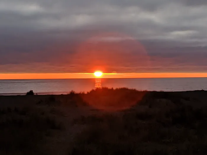 Gold Bluffs Beach Campground Picture 5