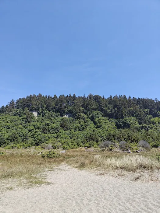 Gold Bluffs Beach Campground Picture 6