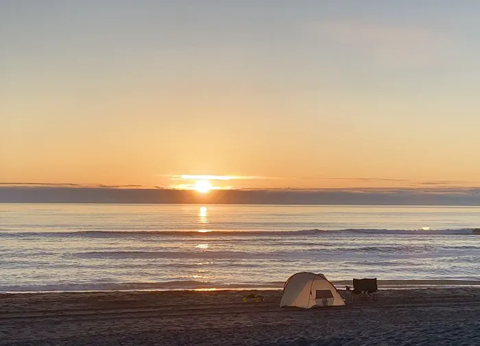 Gold Bluffs Beach Campground Picture 2