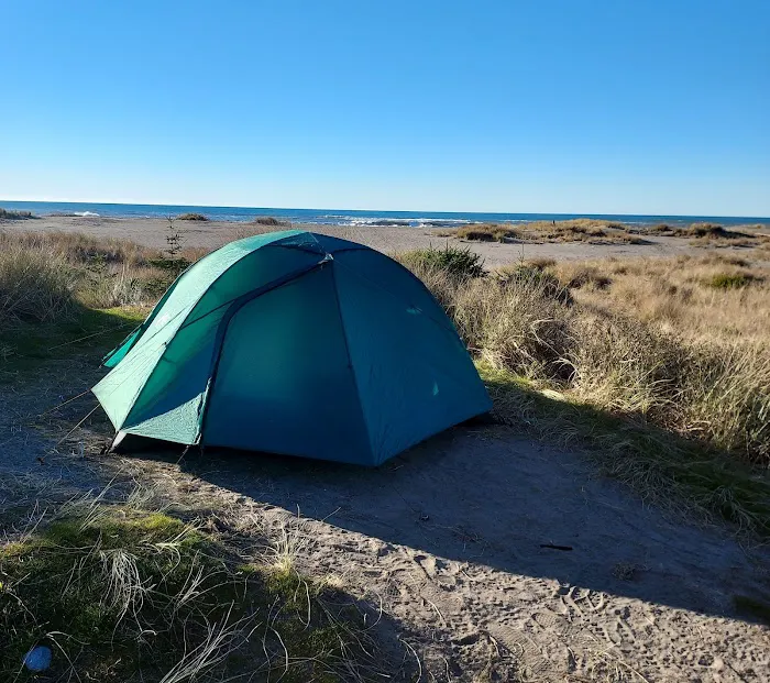 Gold Bluffs Beach Campground Picture 10