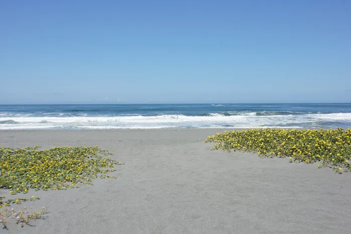 Gold Bluffs Beach Campground Picture 9