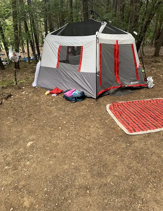 Indian Scotty Group Site Picture 1