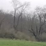 Richland Mobile Home Park