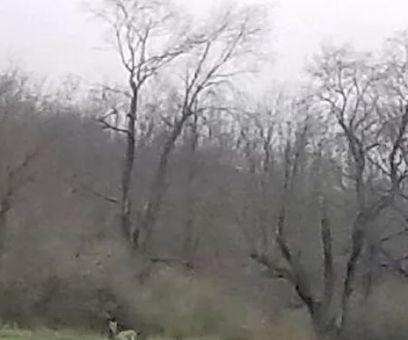 Richland Mobile Home Park