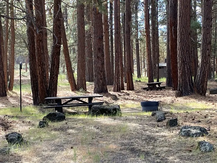 Shafter Campground Picture 3