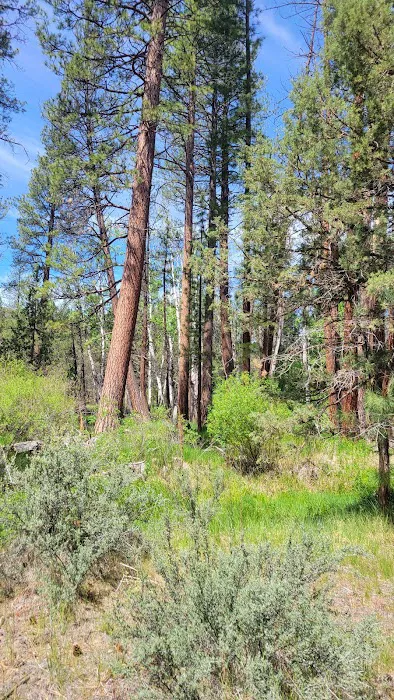 Shafter Campground Picture 2