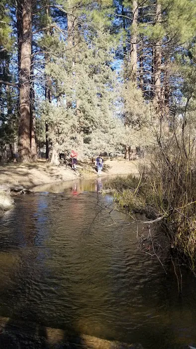 Shafter Campground Picture 9
