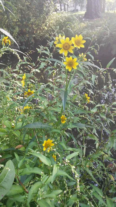 Sherwood Forest Mobile Home Park Picture 10