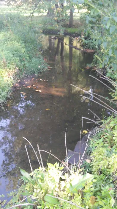 Sherwood Forest Mobile Home Park Picture 7