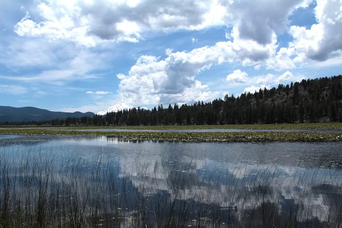 Orr Lake Campground Picture 1