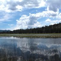 Orr Lake Campground ico