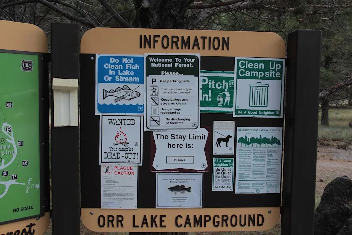 Orr Lake Campground Picture 9