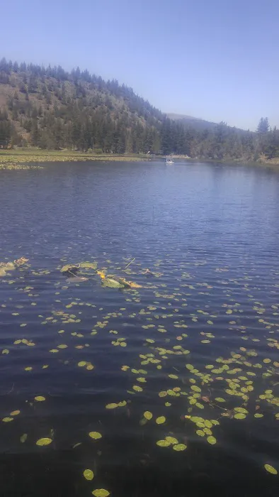 Orr Lake Campground Picture 8