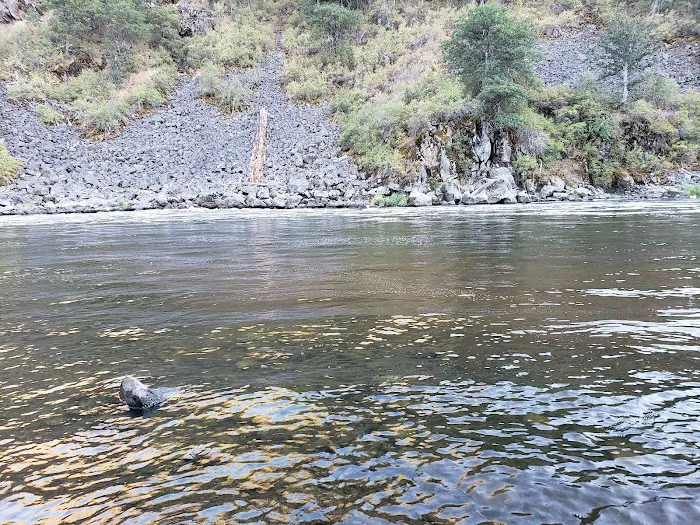 Upper Klamath Wild and Scenic River Picture 2