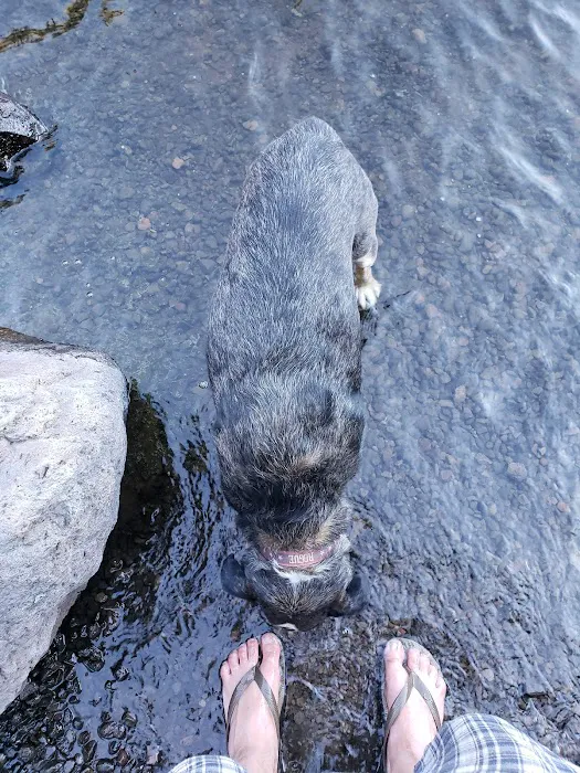 Upper Klamath Wild and Scenic River Picture 4