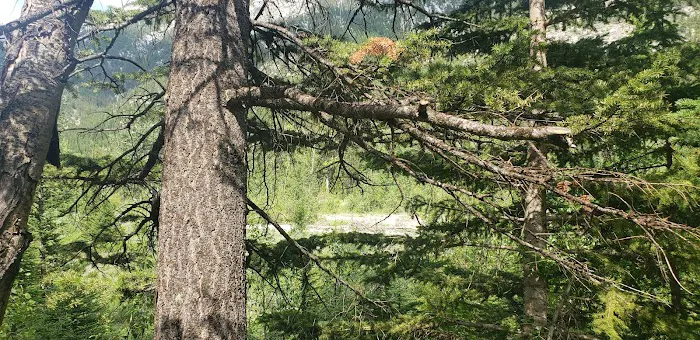 Cave Mountain Campground Picture 3