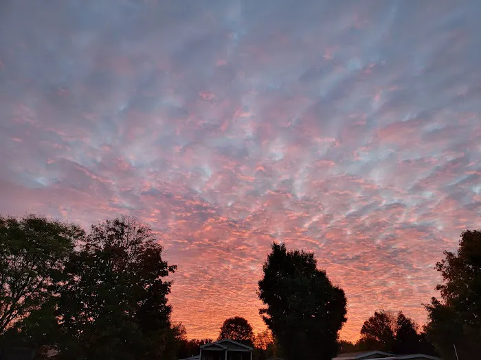 Country Acres Village New Home Sales Picture 4