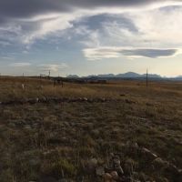 Lodgepole Gallery ico