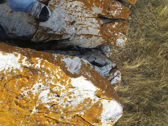 Lodgepole Gallery Picture 10