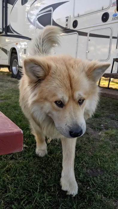 Sleeping Wolf Campground Picture 6