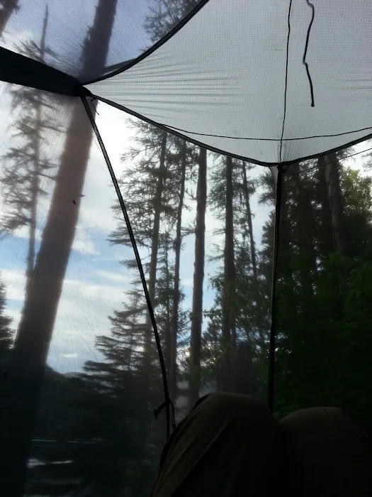 Big Nelson Campground Picture 8