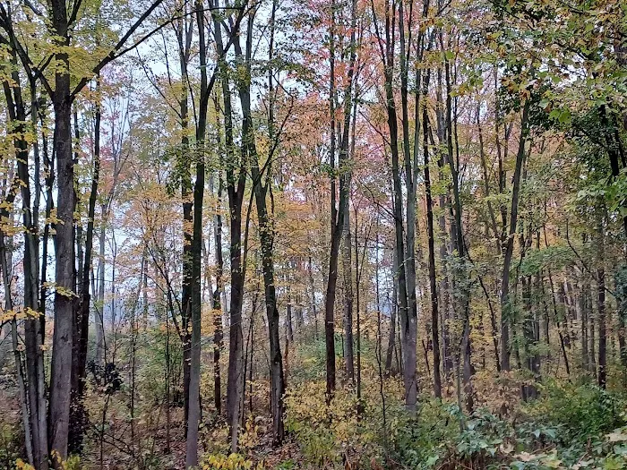 Sugar Loaf Mobile Home Park Picture 8