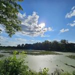 Golden Pond Mobile Home Park