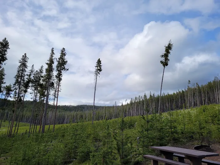 Lodgepole Campground Picture 5