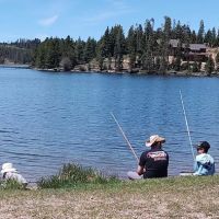 Lodgepole Campground ico