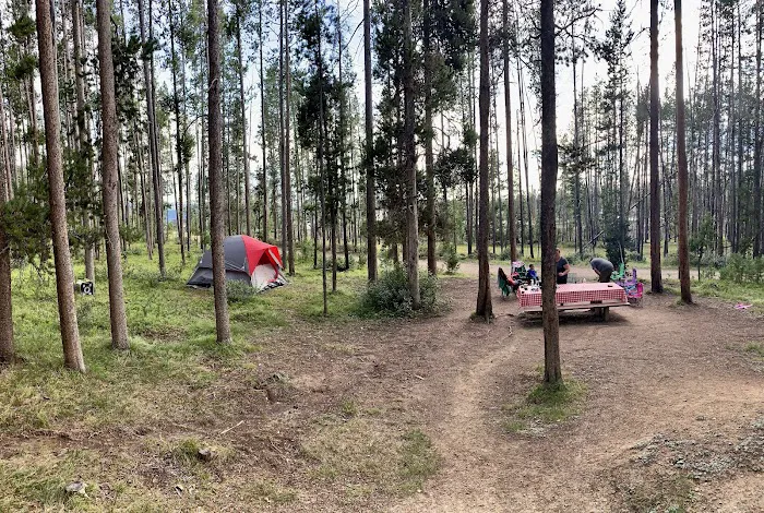 Lodgepole Campground Picture 7
