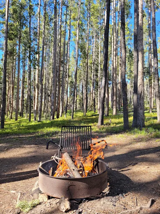 Lodgepole Campground Picture 8