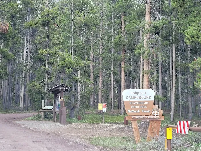 Lodgepole Campground Picture 6