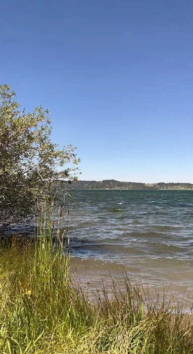 Stuart Mill Bay Campground Picture 1