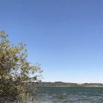 Stuart Mill Bay Campground