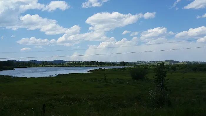 Stuart Mill Bay Campground Picture 7